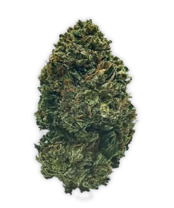 THCP London Pound Cake